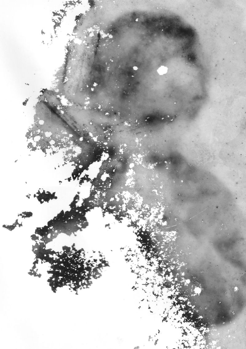 © Fanni Luzsicza - Image from the What Remains Beneath the Surface photography project