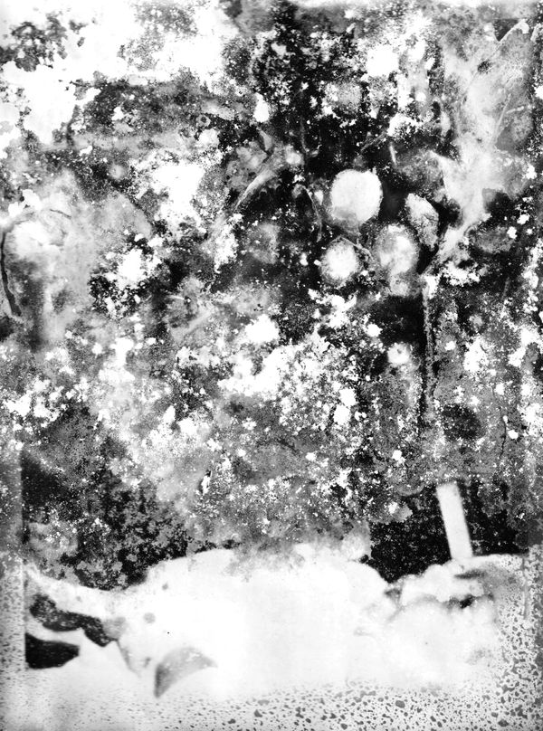 © Fanni Luzsicza - Image from the What Remains Beneath the Surface photography project