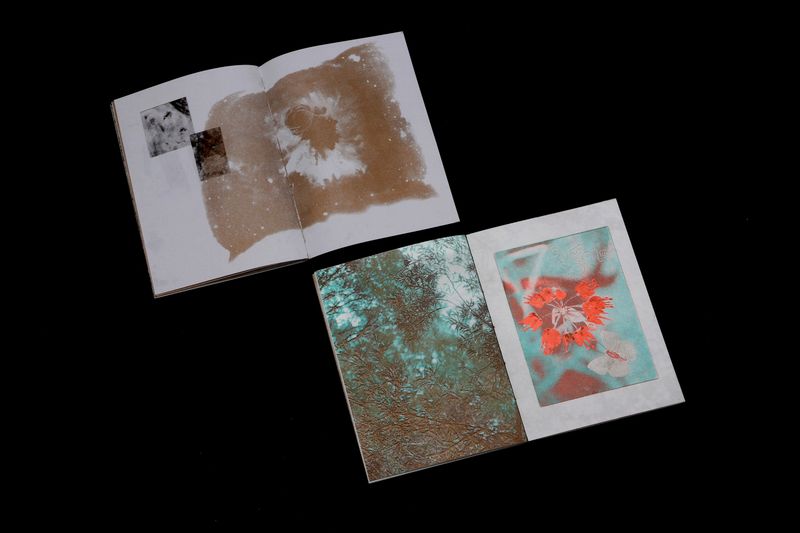 © Jasper Cao - Image from the Lyrical Miniature photography project