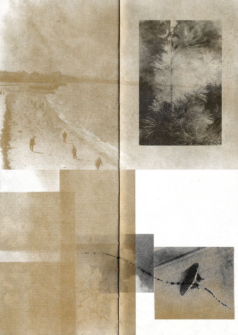 © Jasper Cao - Image from the Lyrical Miniature photography project