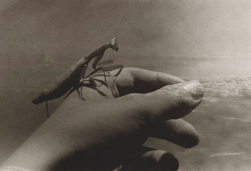 © Jasper Cao - Image from the Love letters, Fireworks and Time Travel photography project