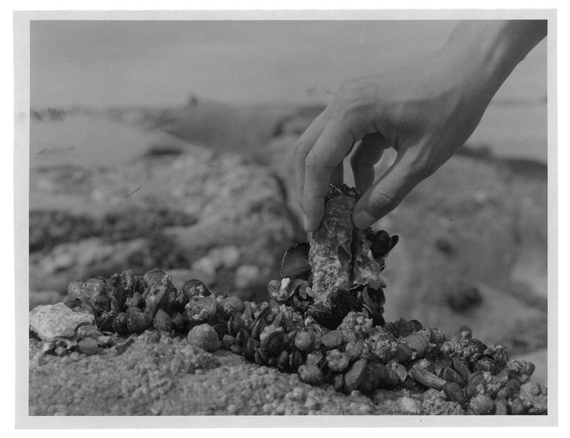 © Jasper Cao - Image from the Horizon, I know you are a ship that will never anchor photography project