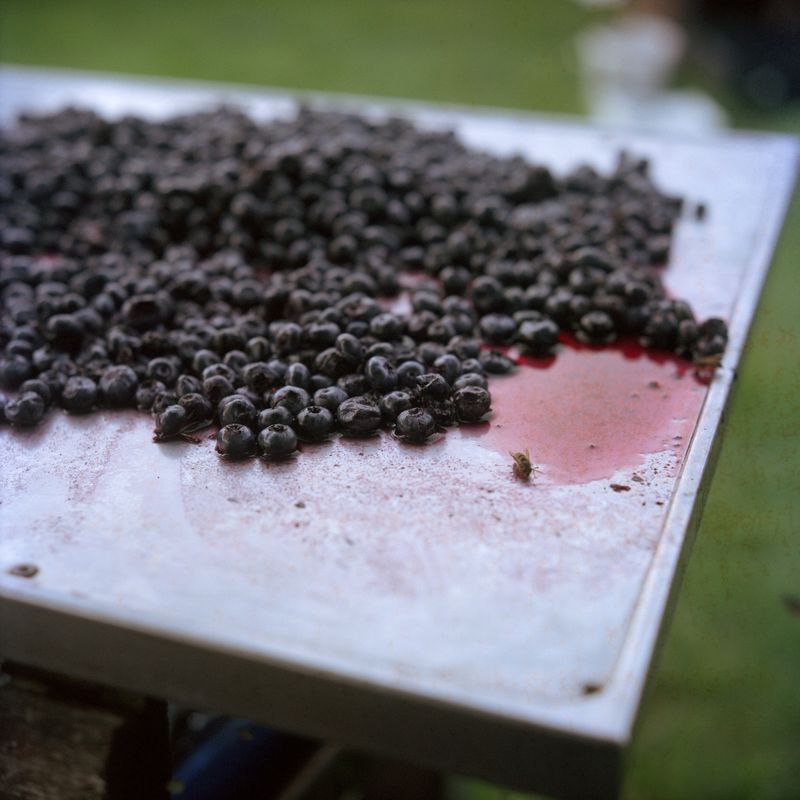 © Marta Giaccone - Image from the Lake of Miracles photography project