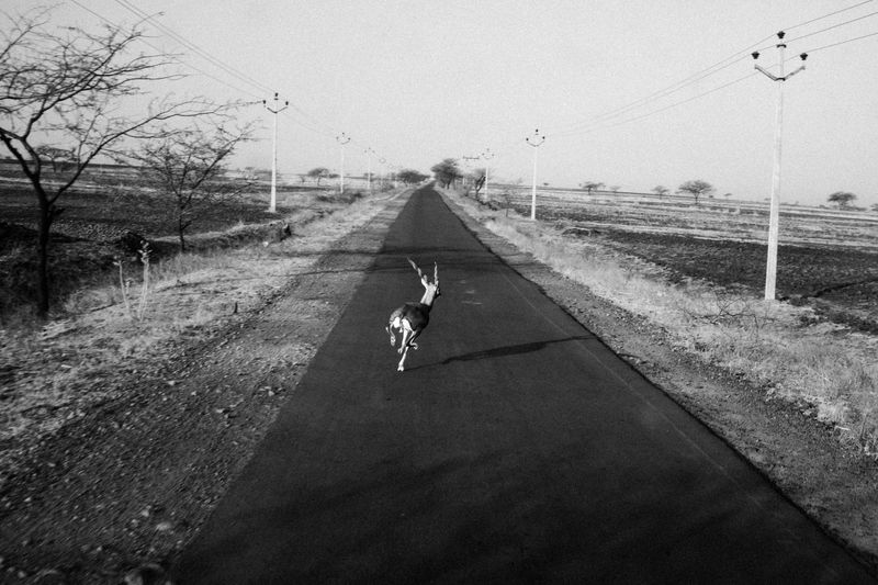 © Harsha Vadlamani - Image from the Dushkaal: Drought and Agrarian Crisis in Marathwada, India. photography project