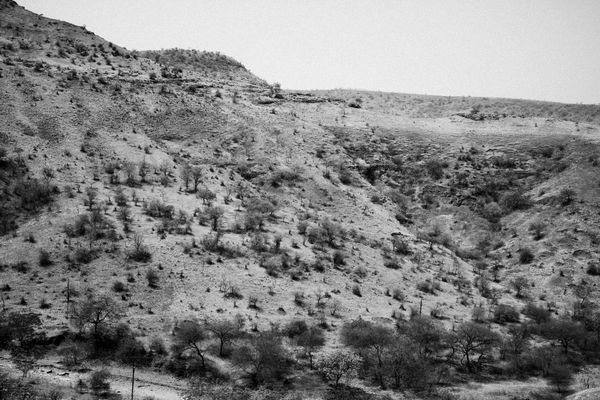 © Harsha Vadlamani - Image from the Dushkaal: Drought and Agrarian Crisis in Marathwada, India. photography project