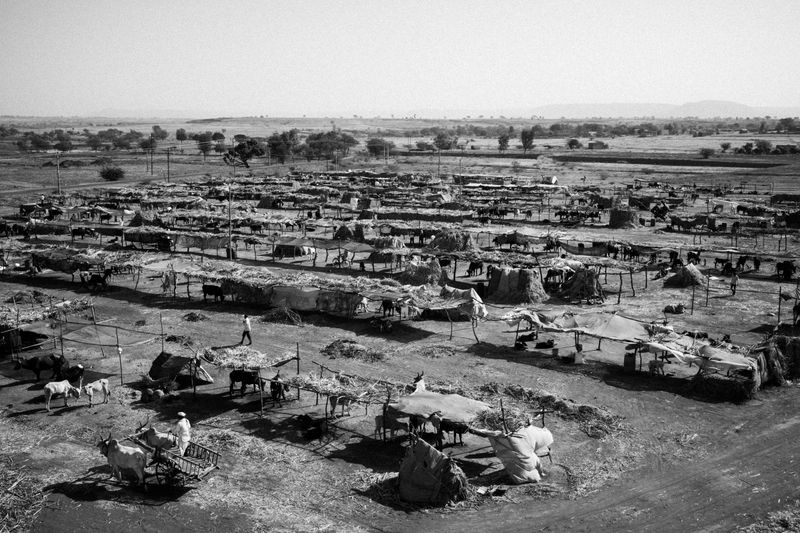 © Harsha Vadlamani - Image from the Dushkaal: Drought and Agrarian Crisis in Marathwada, India. photography project