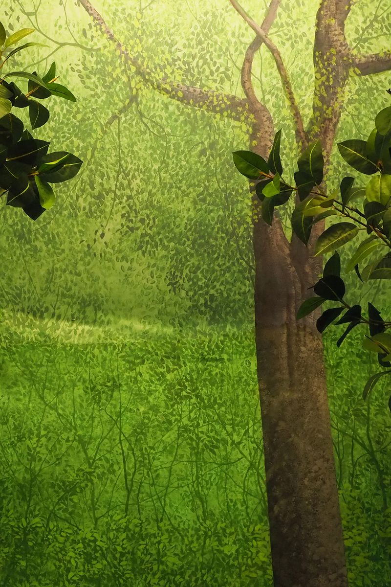 © Annamaria Belloni - Image from the Supernatura photography project