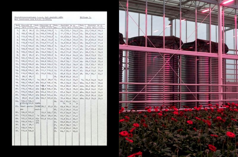 © Angelus Schnabl - Image from the RADIX 107 photography project