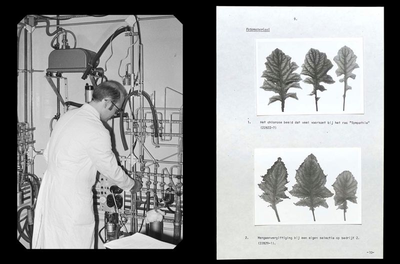 © Angelus Schnabl - Image from the RADIX 107 photography project