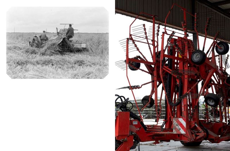 © Angelus Schnabl - Image from the RADIX 107 photography project