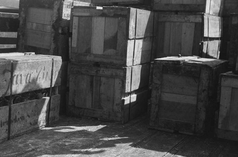 © Angelus Schnabl - Image from the RADIX 107 photography project