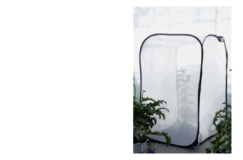 © Angelus Schnabl - Image from the RADIX 107 photography project