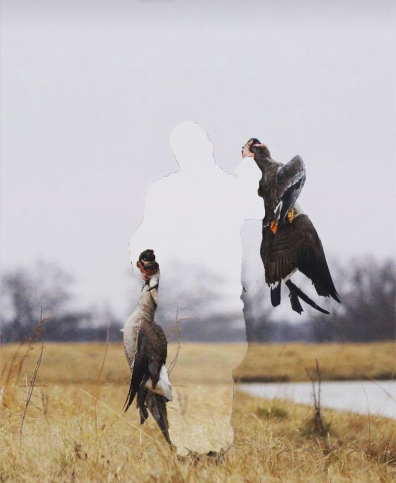 © McKinna Anderson - Dalton 24. (Born Free_Kid Rock) 2021