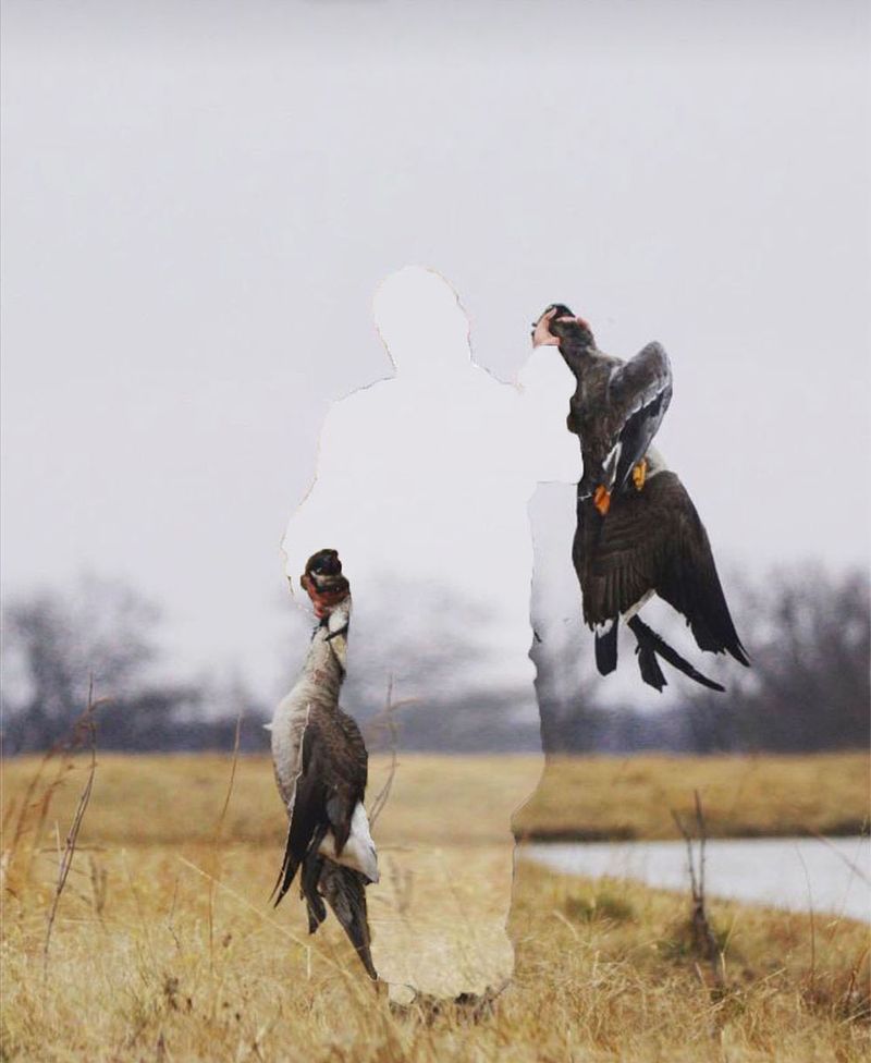 © McKinna Anderson - Dalton 24. (Born Free_Kid Rock)