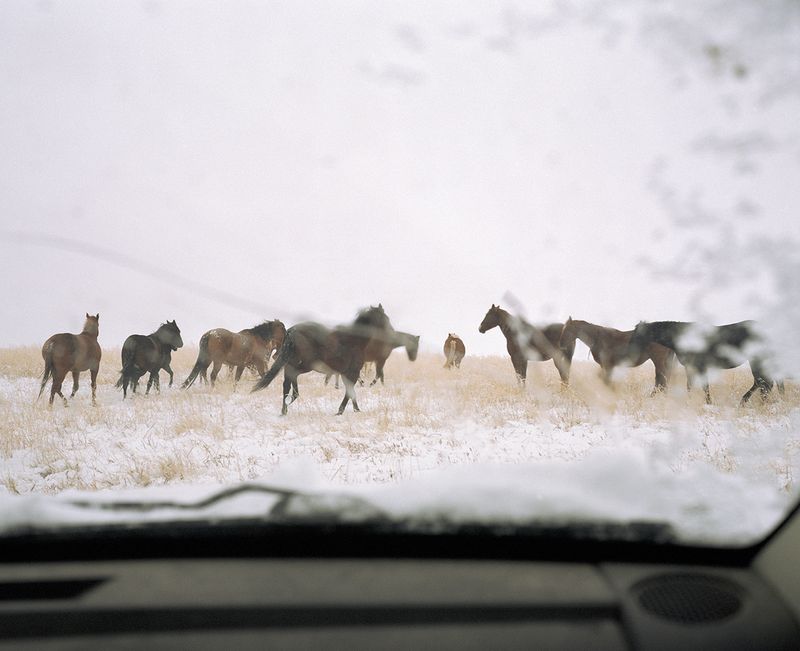 © Arnaud Montagard - First snow. Cold morning at Robert ranch, working with the horses.