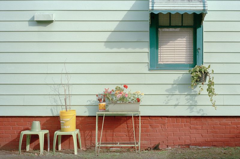 © Lingxue Hao - 35mm Color Negative; 02/2021