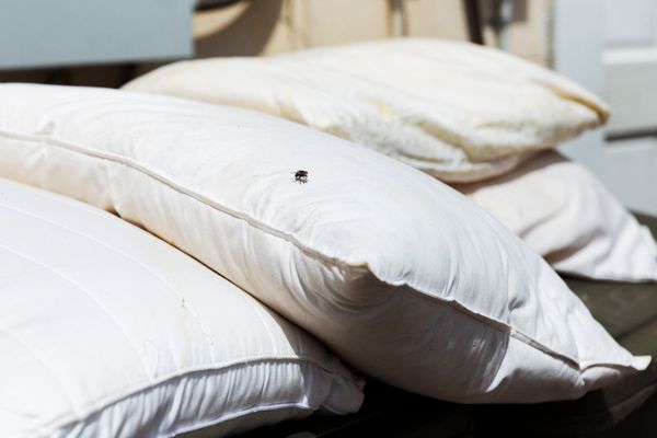 © Lingxue Hao - Digital Capture; 04/2020