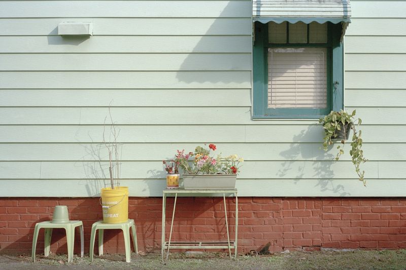 © Lingxue Hao - 35mm Color Negative; 02/2021