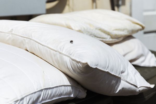 © Lingxue Hao - Digital Capture; 04/2020