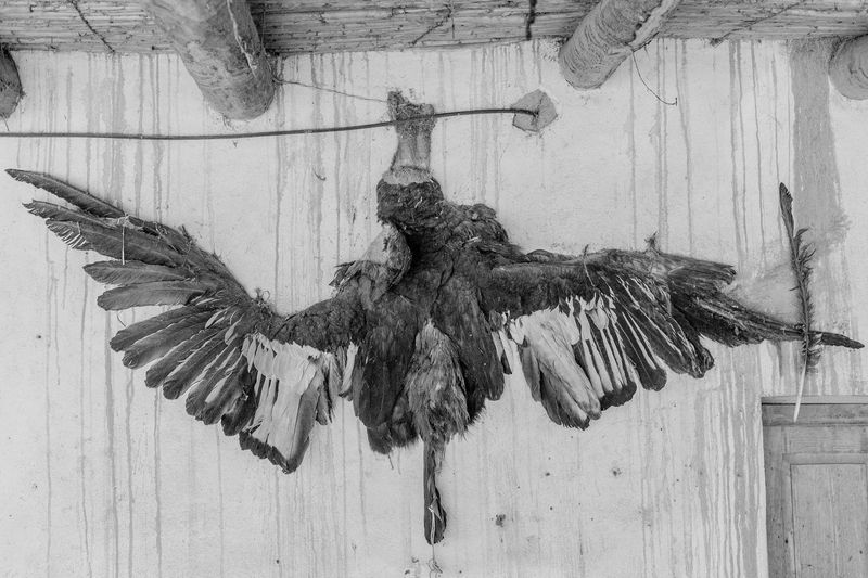 © Consuelo Oppizzi - Image from the WIPHALA photography project