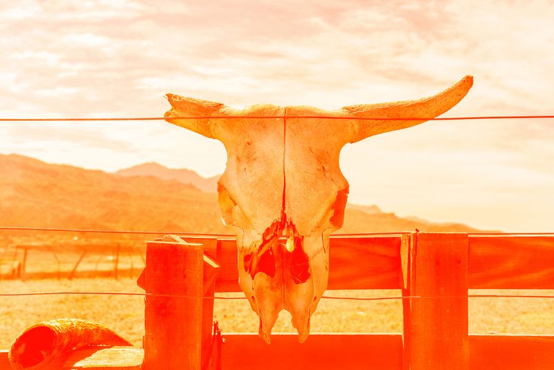 © Consuelo Oppizzi - Image from the WIPHALA photography project