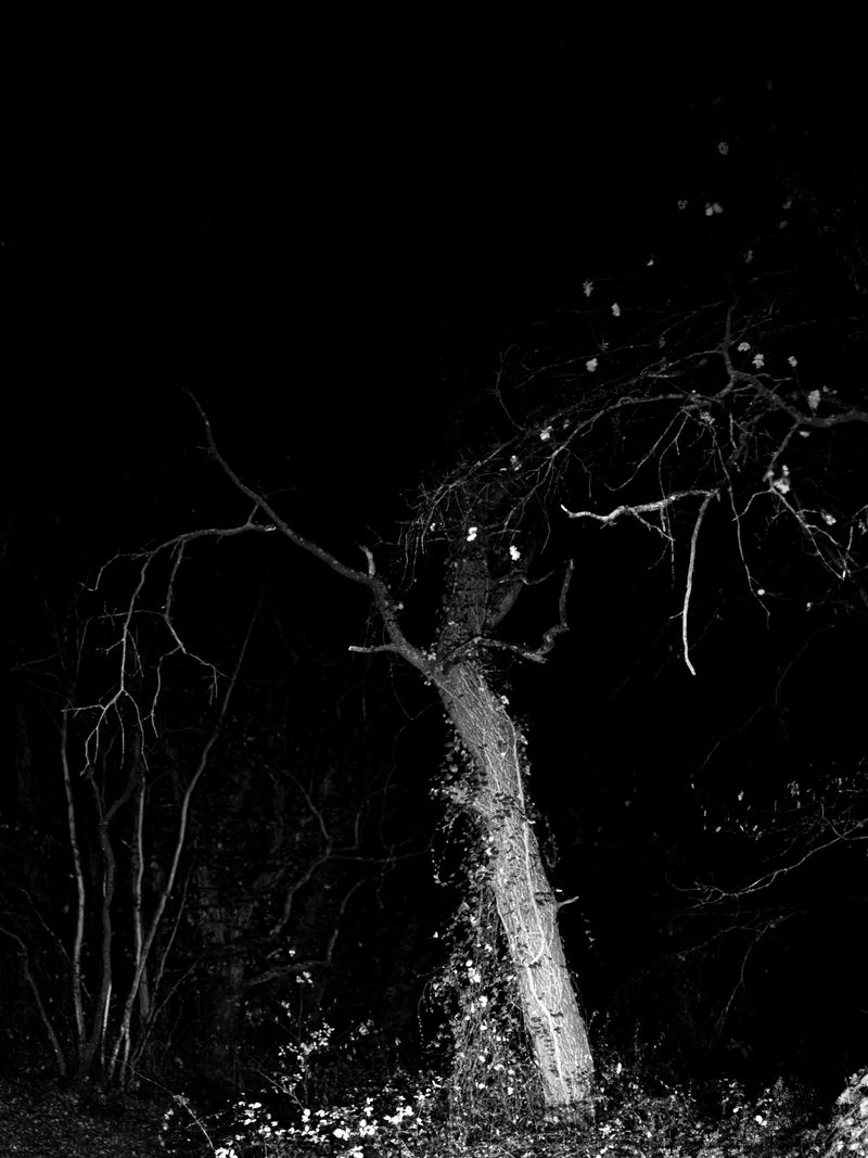 © Kelly Rosa - Image from the Sēcrētus photography project