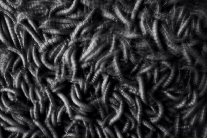 © Kelly Rosa - Image from the Sēcrētus photography project