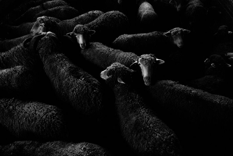 © Kelly Rosa - Image from the Sēcrētus photography project