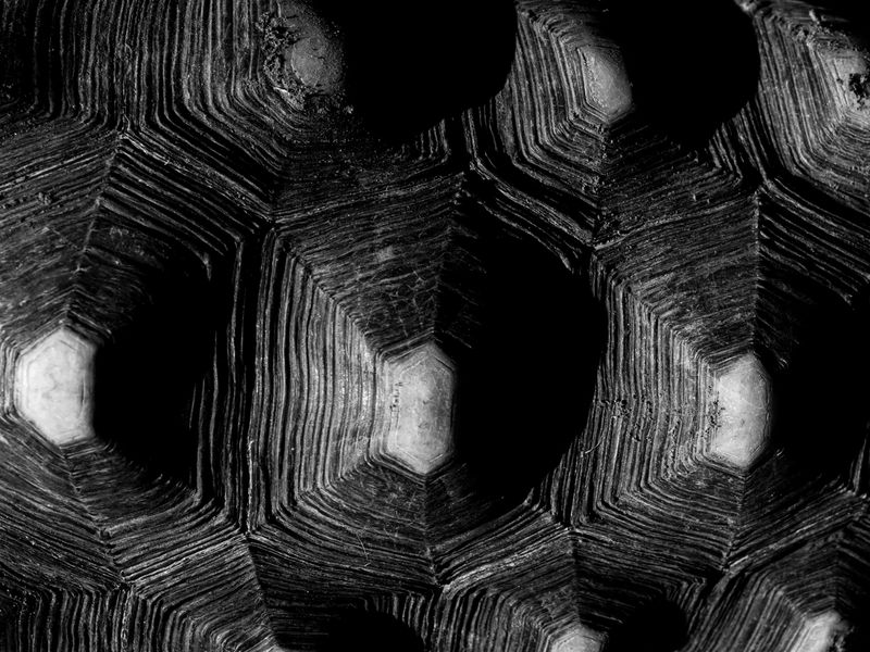© Kelly Rosa - Image from the Sēcrētus photography project