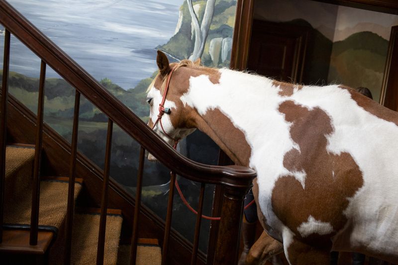 © Isabel Magowan - Image from the Remuda Ranch photography project