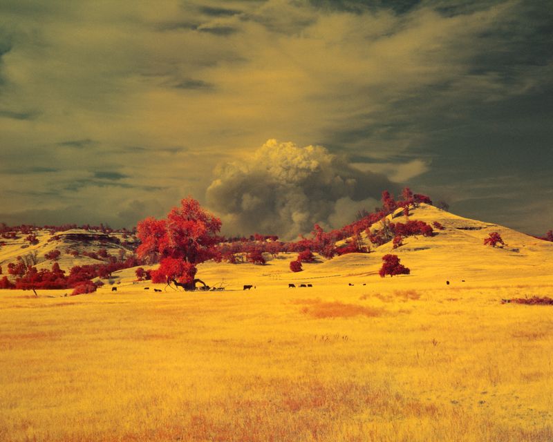 © Maxime Riché - Image from the Paradise photography project