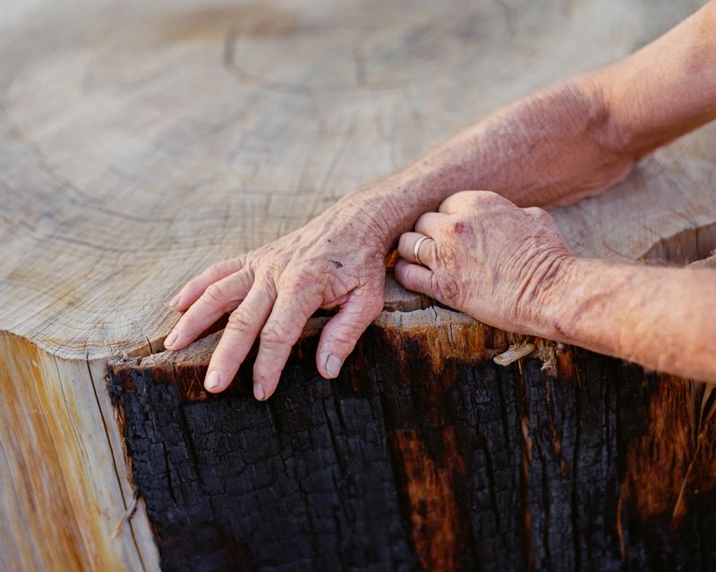© Maxime Riché - Jim Mc Curdy's hands on the stump of a tree hit by Camp Fire in his backyard. August 2021.