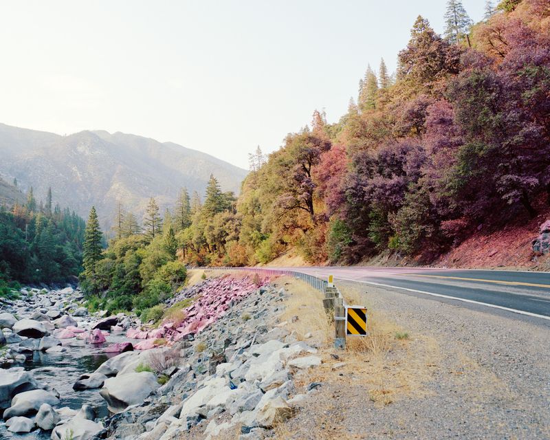 © Maxime Riché - Chemical retardant dropped on trees lining Feather River Canyon to slow the progress of the Dixie Fire in July 2021.