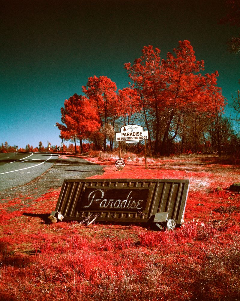 © Maxime Riché - Image from the Paradise photography project