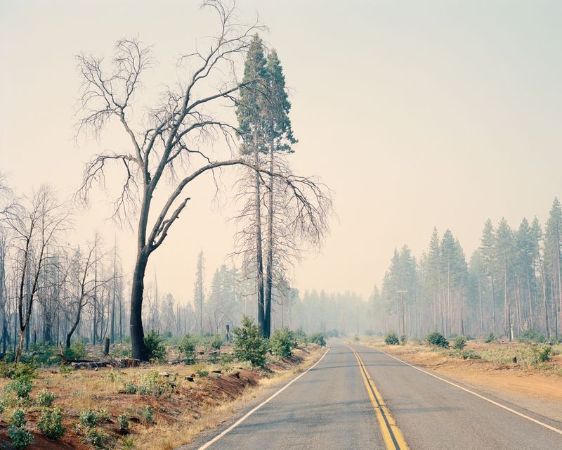 © Maxime Riché - Coutolenc Road. July 2021.