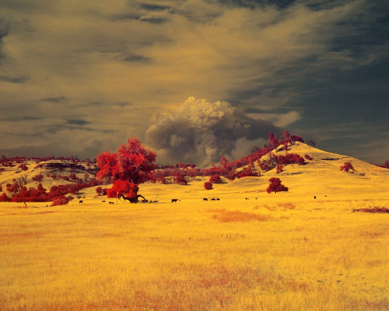 © Maxime Riché - Image from the Paradise photography project
