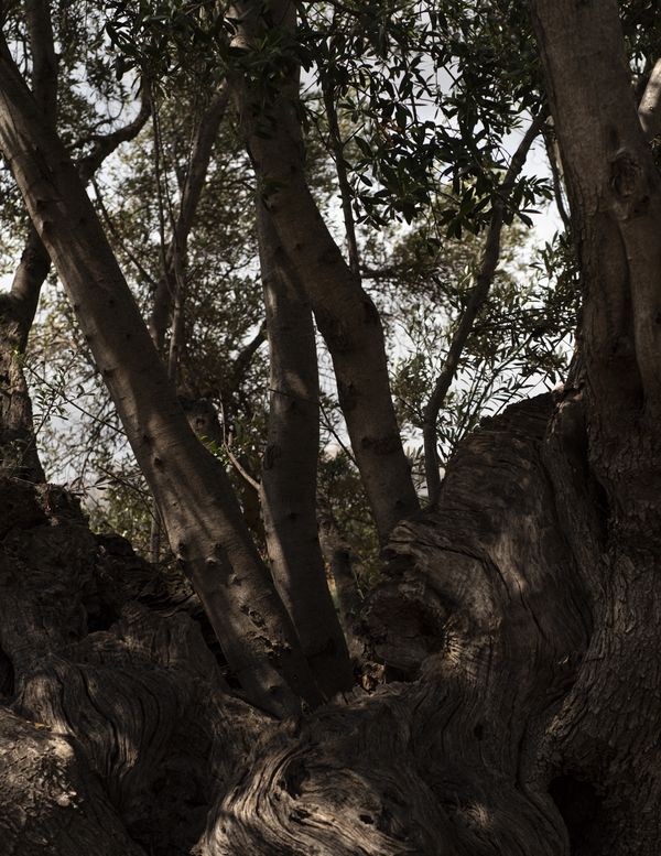 © Manu Gruber - Image from the NOSTOS photography project