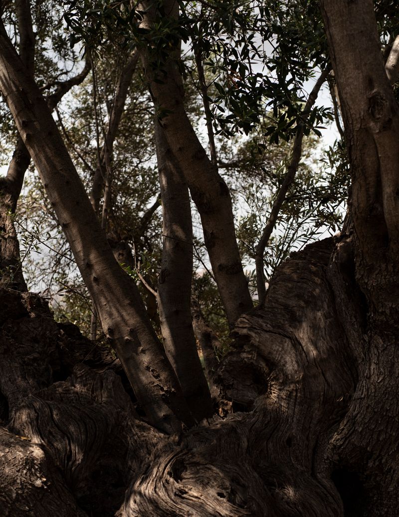 © Manu Gruber - Image from the NOSTOS photography project