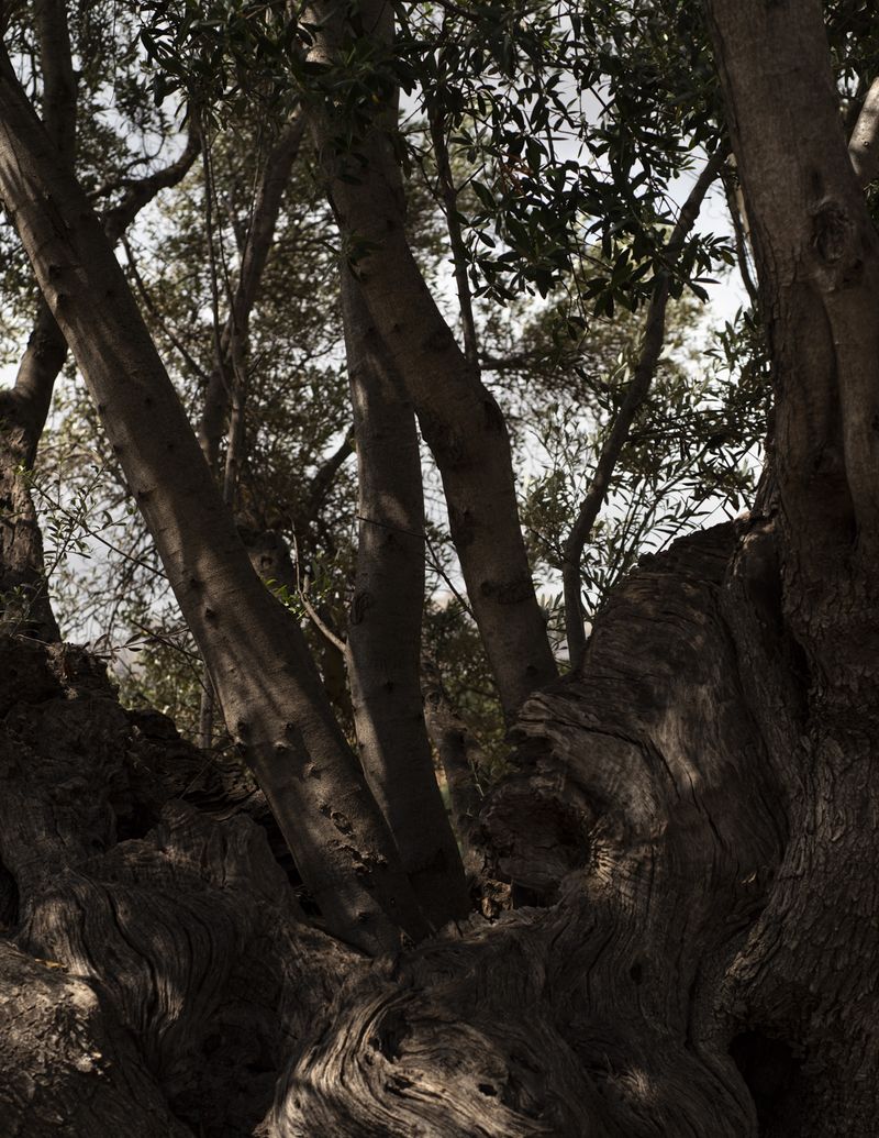 © Manu Gruber - Image from the NOSTOS photography project