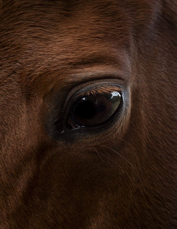 © Manu Gruber - NOSTOS by Manu Gruber