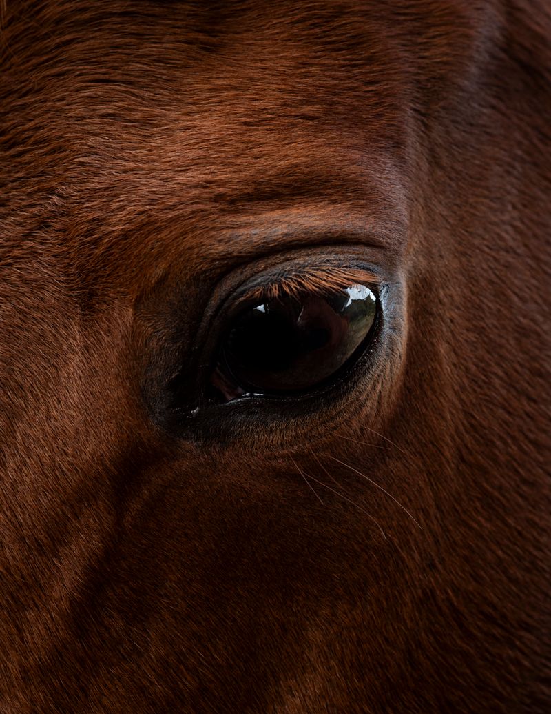 © Manu Gruber - NOSTOS by Manu Gruber