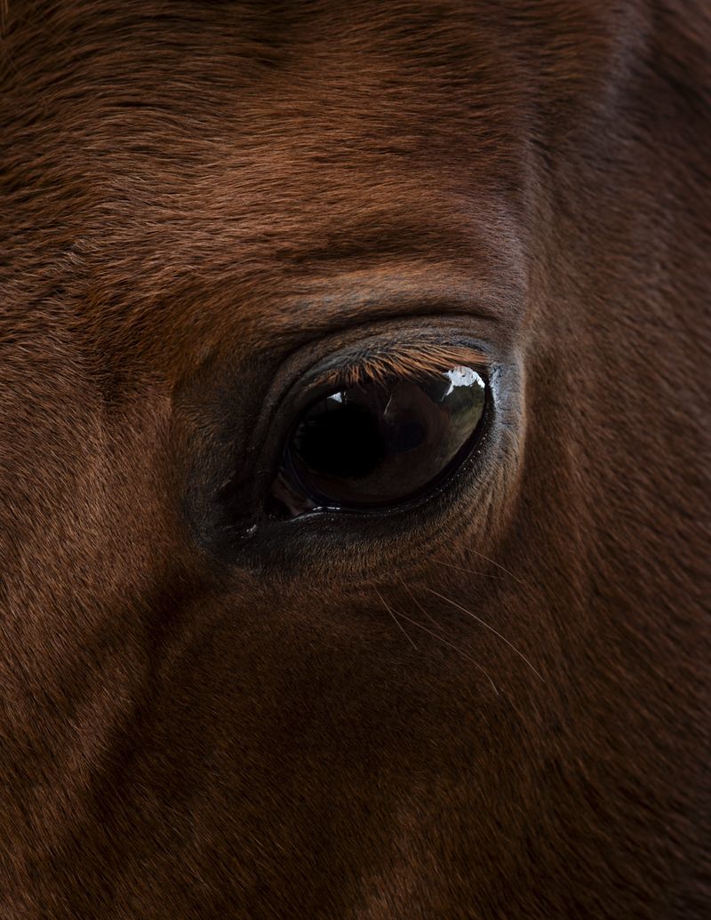 © Manu Gruber - NOSTOS by Manu Gruber