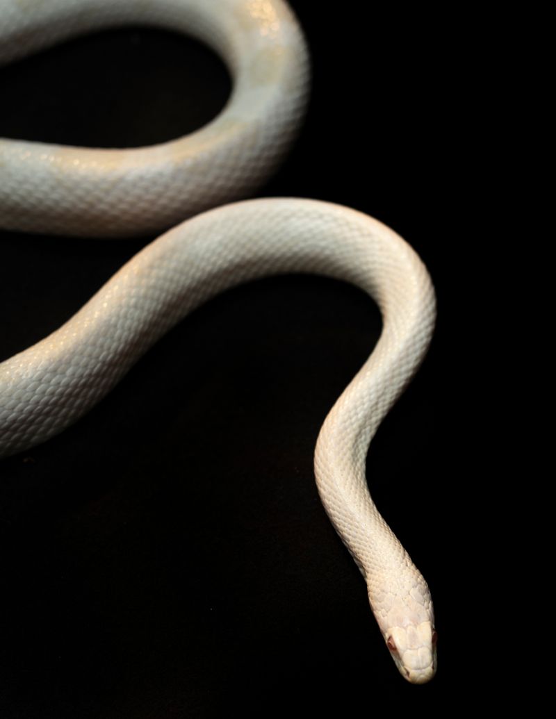 © Manu Gruber - NOSTOS by Manu Gruber