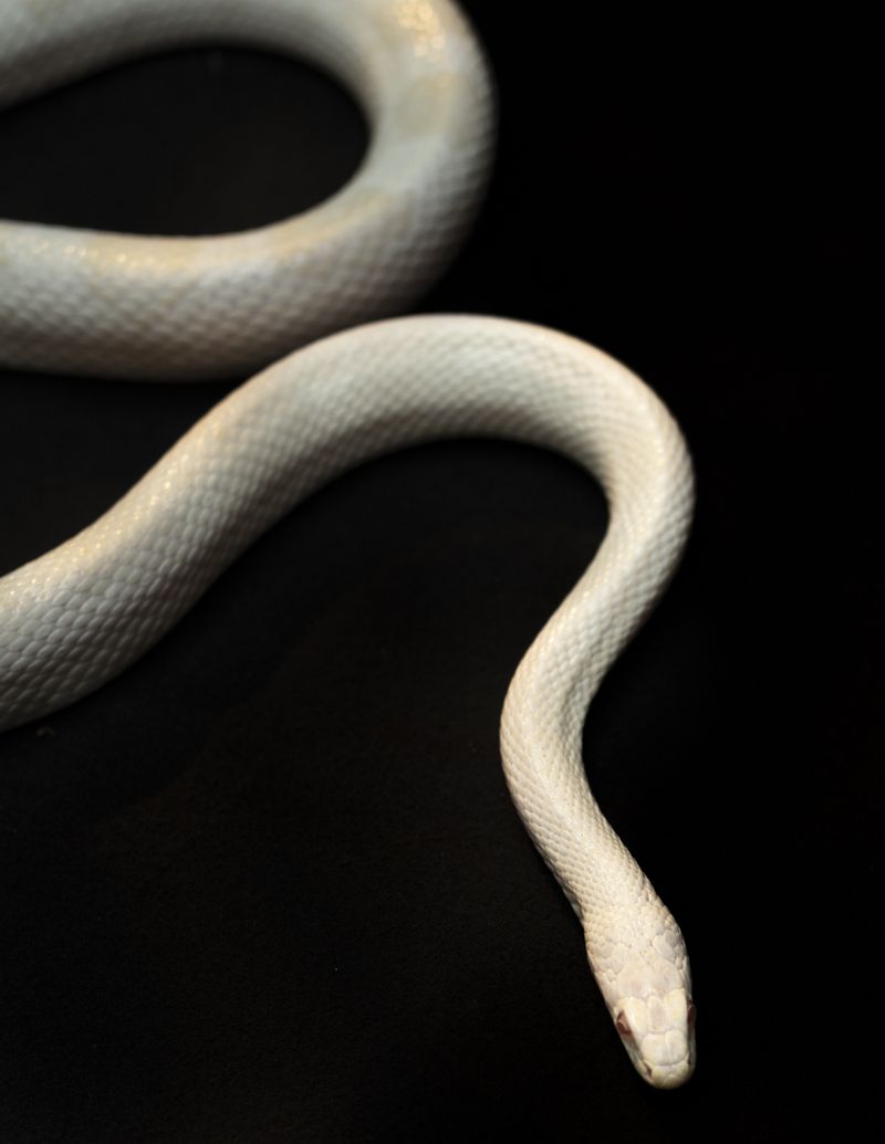 © Manu Gruber - NOSTOS by Manu Gruber