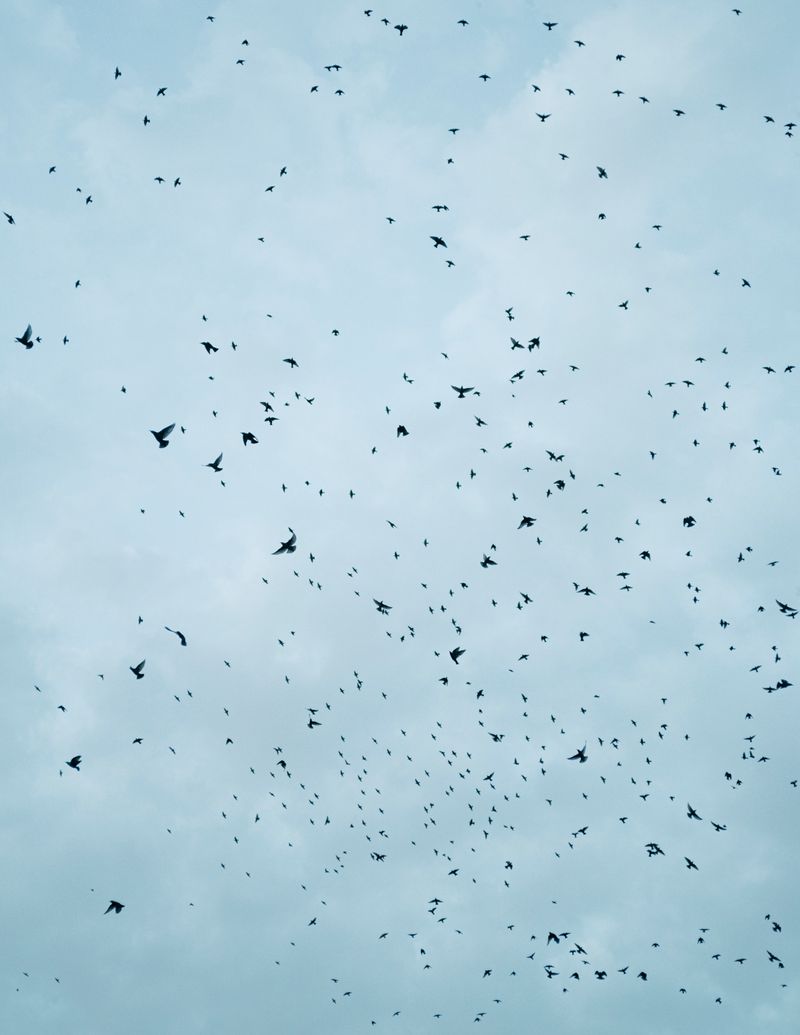 © Manu Gruber - NOSTOS by Manu Gruber