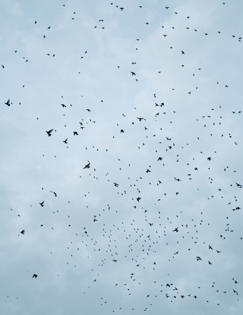 © Manu Gruber - NOSTOS by Manu Gruber