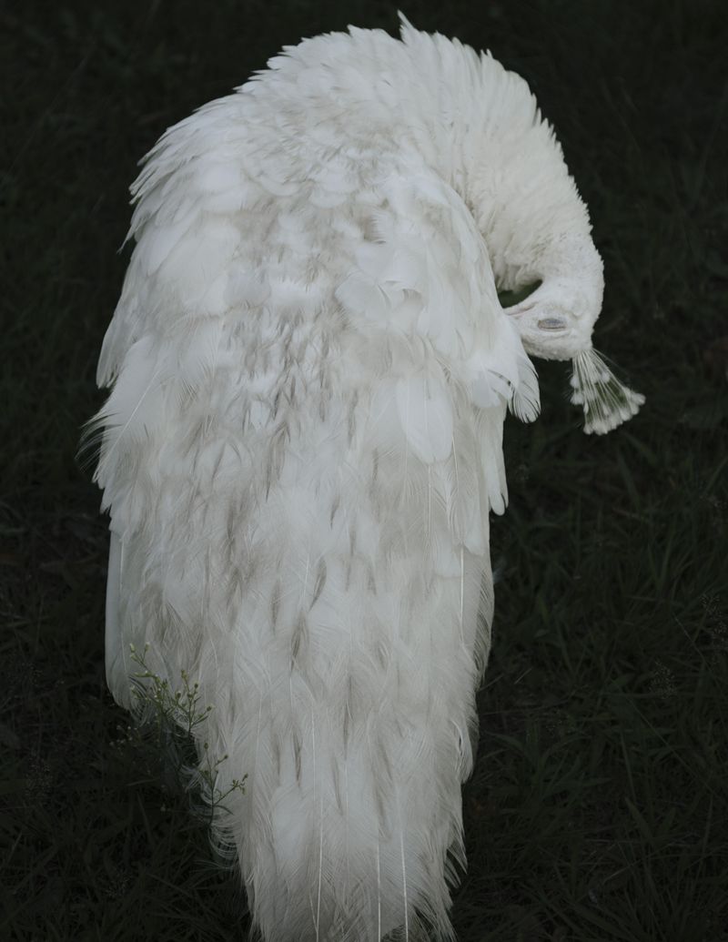 © Manu Gruber - NOSTOS by Manu Gruber