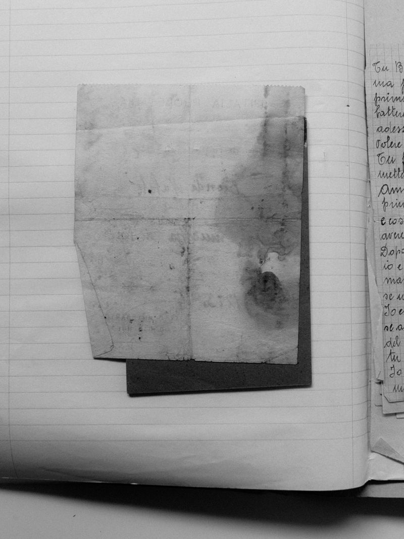 © Manu Gruber - Image from the PRIMAVERA photography project