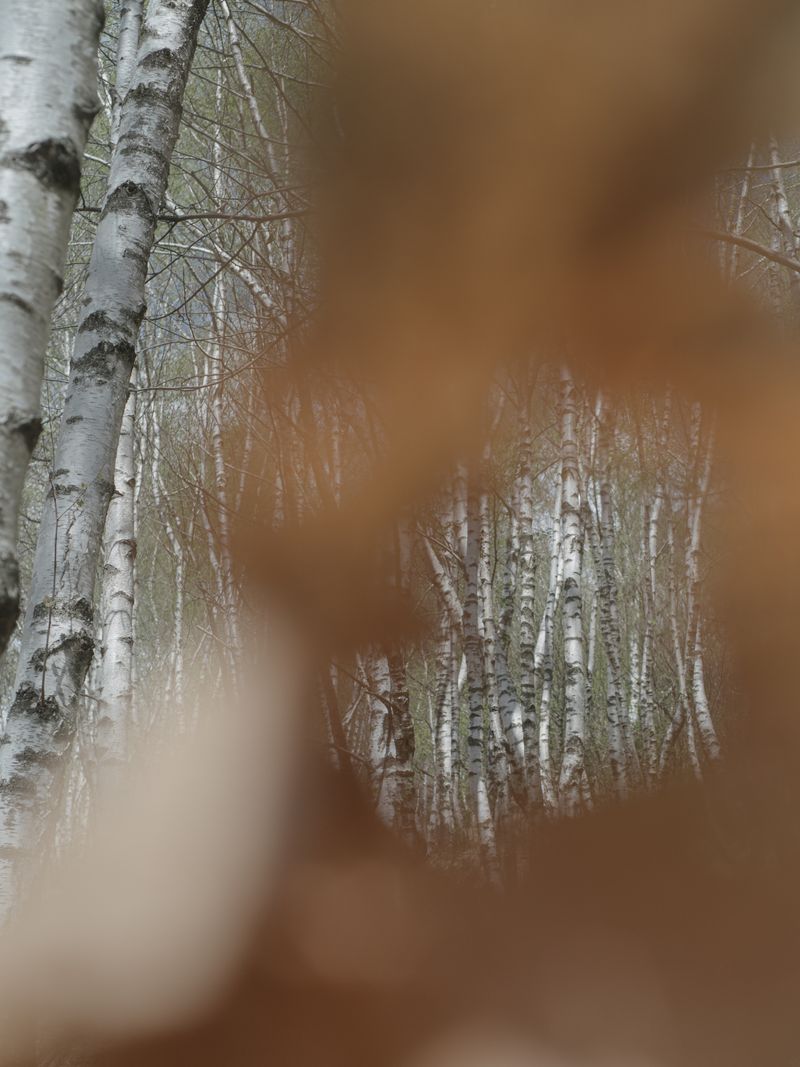 © Manu Gruber - Image from the PRIMAVERA photography project