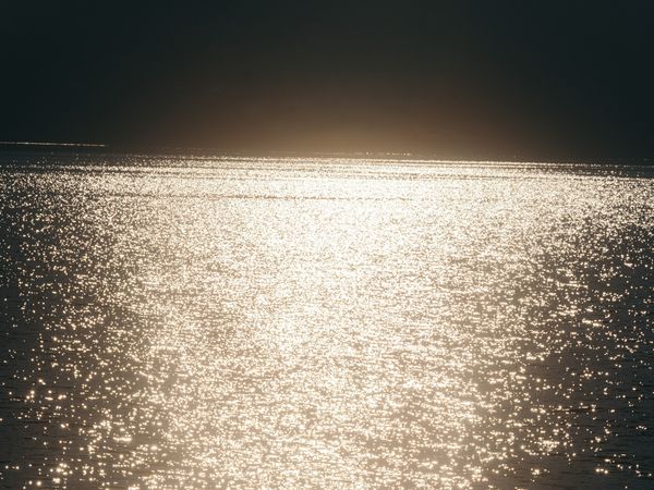 © Manu Gruber - Image from the PRIMAVERA photography project